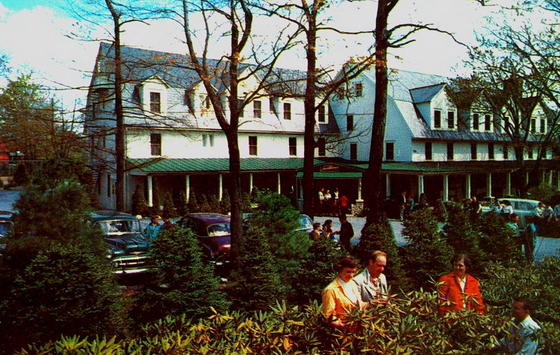 Stricklands Mountain Inn and Cottages - Vintage Postcard